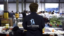 Imagem de Banco Alimentar Contra a Fome registou uma ligeira quebra (áudio)