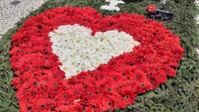 Imagem de Festa da Flor já anima a Avenida Arriaga (áudio)