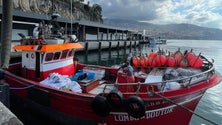Imagem de Jovem de Câmara de Lobos é a única armadora da Região (áudio)