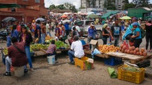 Imagem de Venezuela: Agricultores madeirenses suportam as principais cidades