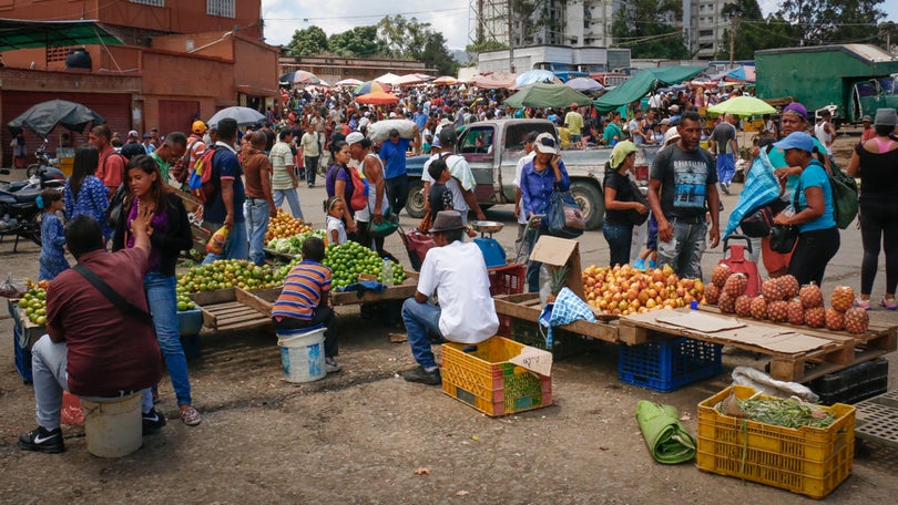 Imagem de Venezuela: Agricultores madeirenses suportam as principais cidades