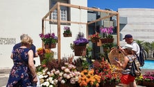 Imagem de Festa da Flor está com uma avaliação de 17,8 valores feita pelos turistas
