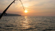 Imagem de Cooperativa de Armadores de Pesca da Madeira reivindica a renovação da frota (Áudio)