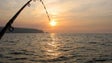 Cooperativa de Armadores de Pesca da Madeira reivindica a renovação da frota (Áudio)