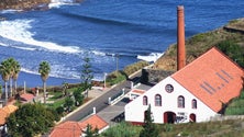 Imagem de Engenhos do Porto da Cruz e Calheta processaram 850 toneladas de cana de açúcar (áudio)
