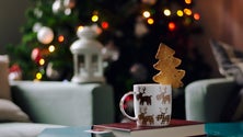 Imagem de Páginas da Festa – Natal sem luzes