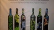 Produtores da Madeira esperam um bom ano para o vinho de mesa madeirense