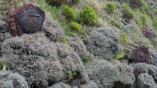 Arte em pedra lávica (Vídeo)