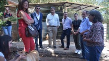 Imagem de PSD destaca medidas aprovadas em prol dos animais