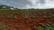 Imagem de Semilhas com estragos da tempestade (vídeo)