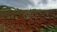 Imagem de Semilhas com estragos da tempestade (vídeo)