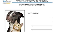 Funchal realiza censos sobre animais de companhia