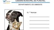 Funchal realiza censos sobre animais de companhia