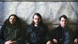 Imagem de Festival Aleste trouxe Elijah Wood à Madeira (Vídeo)