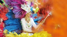 Imagem de Circo integra o Carnaval da Madeira