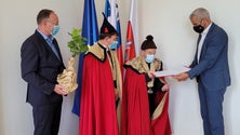 Imagem de Madeira recebeu excerto da videira mais antiga do mundo