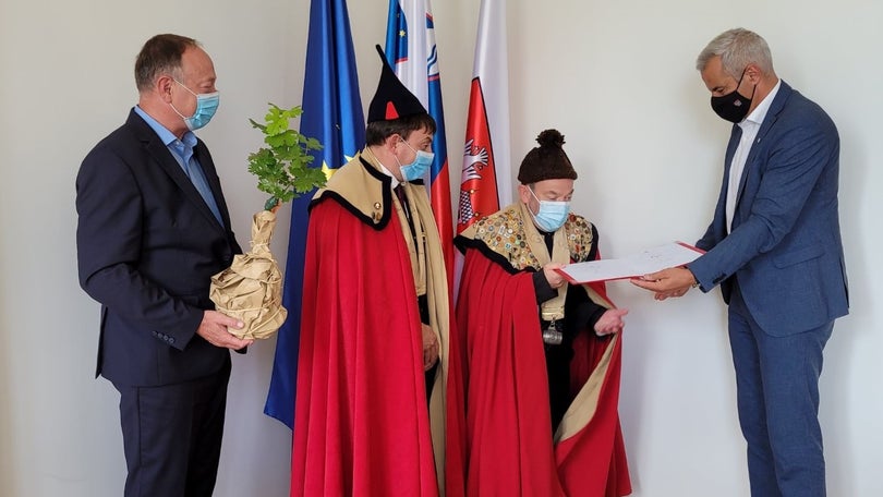 Imagem de Madeira recebeu excerto da videira mais antiga do mundo