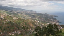 Imagem de Madeira atingida por massa de ar quente e poeiras do Saara