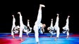 Imagem de Federação Europeia de Taekwondo realiza primeiro open online de Poomsae (Áudio)