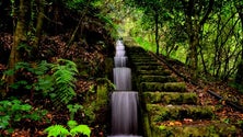 Imagem de Perito da UNESCO defende a classificação das levadas da Madeira como património da humanidade