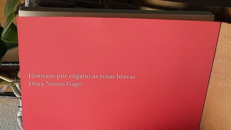 Pouca sorte com cabeleireiros. Dora Nunes Gago