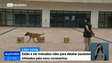 Cães estão a ser treinados para detetar doentes com Covid-19 (Vídeo)