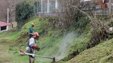 Imagem de Governo dá mais um mês aos proprietários para que limpem os terrenos