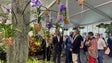 Imagem de Madeira vai ter voos diretos para Nova Iorque