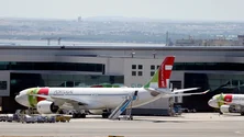 Imagem de Embaixador de Portugal quer voos diretos da TAP entre Caracas e Funchal