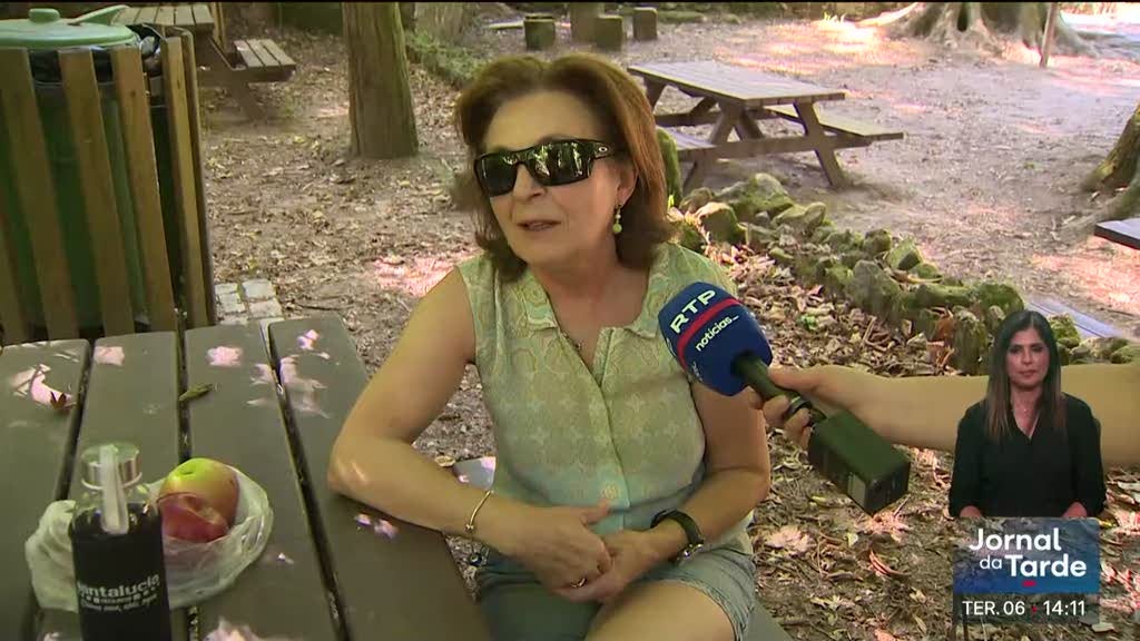 Mata Nacional do Buçaco considerada floresta terapêutica