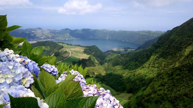 Imagem de Açores estendem selo «Clean & Safe»
