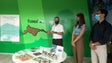 Imagem de Identificar e preservar o património (vídeo)