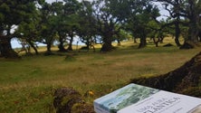 Imagem de Associação do Caminho Real promove 1.ª caminhada literária
