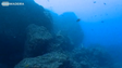 Imagem de Madeira recebe em novembro evento para celebrar o Dia Nacional do Mar (Vídeo)