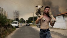 Imagem de Portugal foi o 2.º país europeu mais afetado em 2022