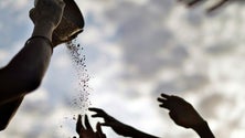 Imagem de ONU alerta que Objetivo Fome Zero até 2030 está em risco e Covid-19 agrava situação
