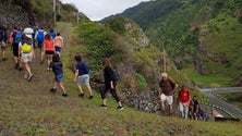 Imagem de Volta à Madeira pelo Caminho Real 23 arranca sábado