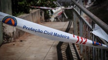 Imagem de Madeira sem ocorrências