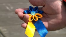 Imagem de Ultra Blue Island começa hoje e conta com 600 participantes