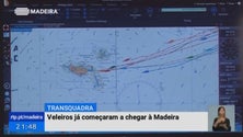 Veleiros da Transquadra já começaram a chegar à Madeira