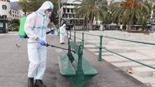 Imagem de Covid-19: Madeira tem, neste momento, 11 cadeias de transmissão ativa (Vídeo)