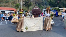 Cortejo da Castanha no Curral das Freiras (áudio)