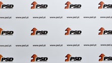 Imagem de Legislativas: Apenas cinco maiorias absolutas desde 1976, quatro do PSD