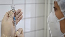 Imagem de Venezuela vai receber mais de 11 milhões de vacinas