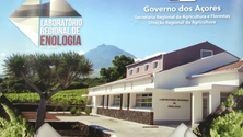 Imagem de Laboratório de Enologia promove formação para pequenos produtores (Vídeo)