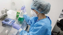 Imagem de Portugal investe nos laboratórios