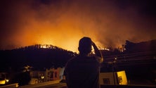 Imagem de Incêndio nas Canárias queima mais de mil hectares e deixa mil deslocados