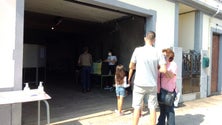 Imagem de Eleitores exercem direito ao voto (áudio)