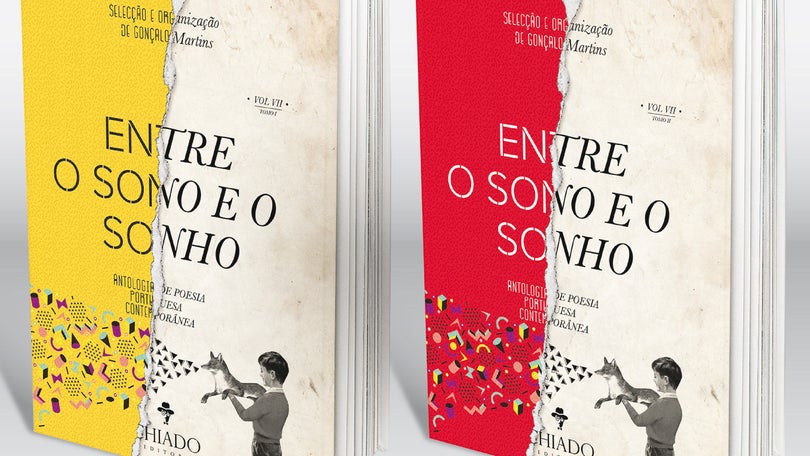 Imagem de Poetas madeirenses apresentam livro em Lisboa