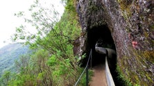 Imagem de Turista está desaparecido na levada do Ribeiro Frio- Portela